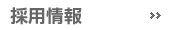 �̗p���