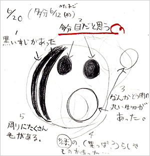 例