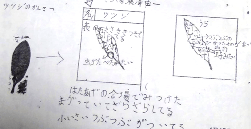 子どもたちが進んで取り組む 自主学習のススメ 教育オピニオン 明治図書オンライン 教育zine