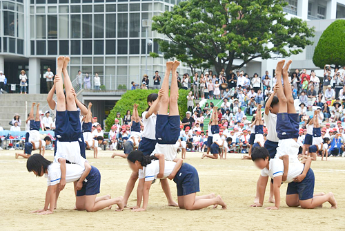 写真1