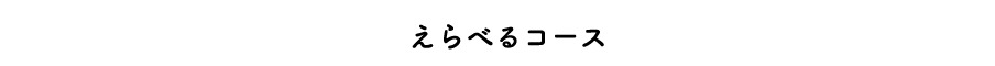 1X^[ǧv\IׂR[X