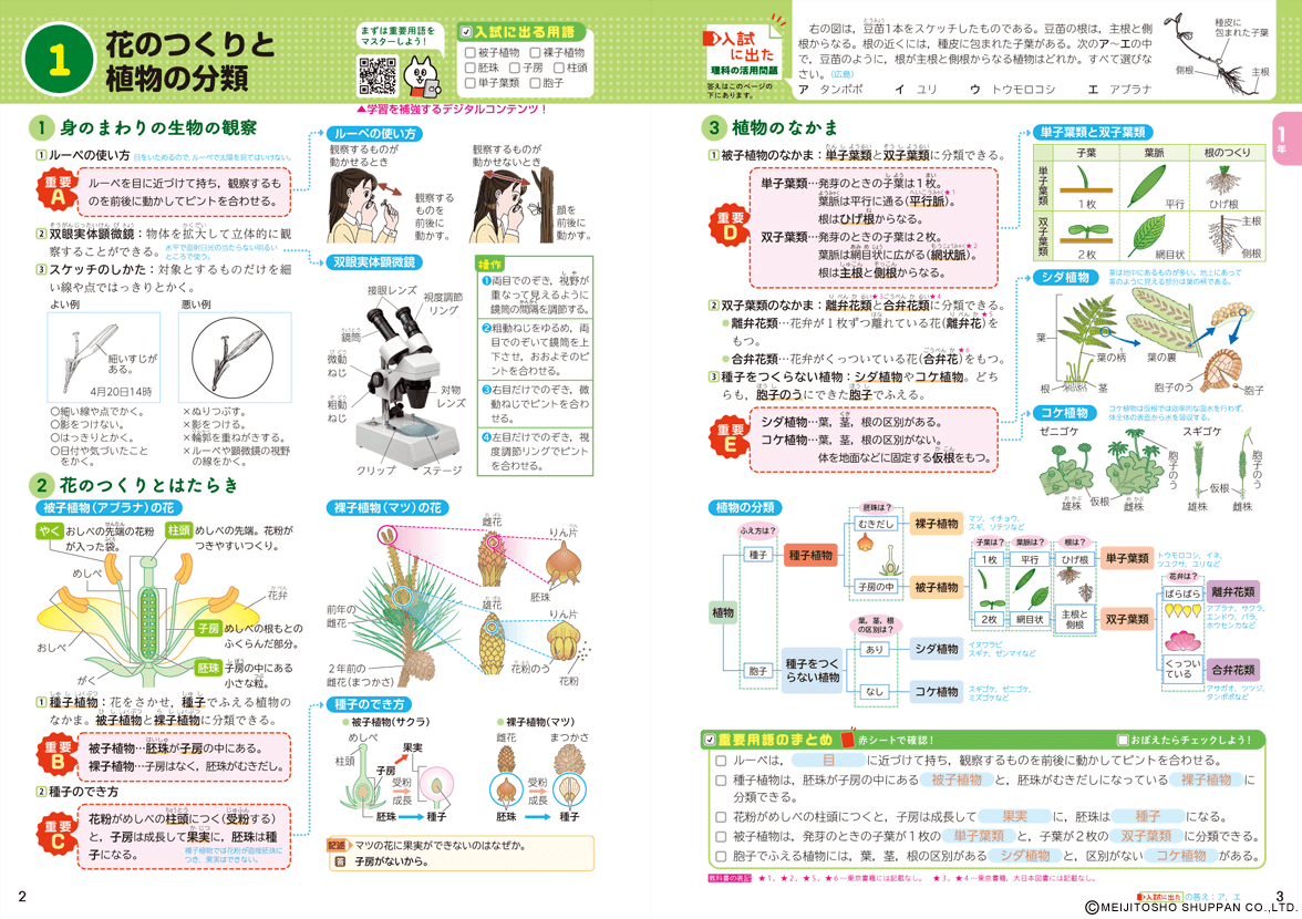 整理と対策 | 中学校の教材 | 明治図書の学習教材